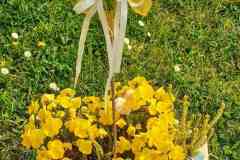 Frohe Ostern ... Frohe Ostern ...