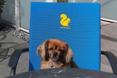 Zahlen bitte :-) Zahlen bitte :-)