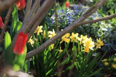Frühling