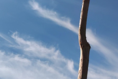 Naturkrümmling bei der dürren Ager