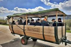 Traditionelles Maiblasen MV Bruckmühl