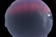 Nordlichter sind bei uns selten zu sehen. Aber am 23. April ist es Daniel Nimmervoll mit seiner Allsky Kamera und viel Wetterglück gelungen, ein Polarlicht im Bild festzuhalten. Ausgelöst durch den stärksten Sonnensturm seit 2015.