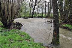 Mittleres Hochwasser am kleinen Redlbach - Etwas viel Regen in den letzten Tagen