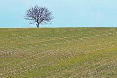 Landschaftsmotiv Bergern