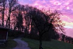 Am frühen Morgen
