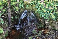 Waldquelle