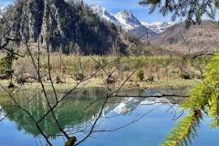 Frühlingsspaziergang am Almsee