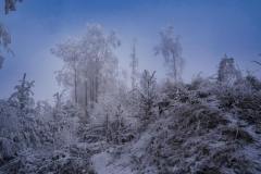 ... der Winter ist zurück
