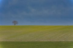 Blick von der Haltestelle Bergern