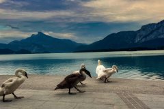 Familienspaziergang am Mondsee