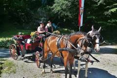 Kutschengala 2023 in Bad Ischl - Wieder dabei - Ottnanger Pferdegespann Hüthmayr / Soos