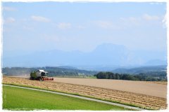 Getreideernte in Bergern