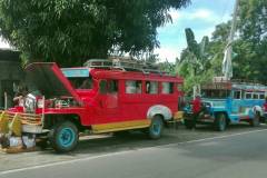 Philippinische Jeepneys - eigentlich Linienbusse. Bereit für die Fahrt in die nächste Stadt.