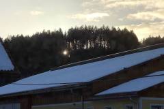 Brennt es im Hausruckwald? Nein - Nur die untergehende Sonne blinzelt durch die Bäume