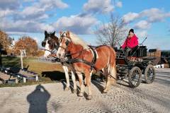 Rückblick - Bevor der Winter kam. Schönes Spätherbstwetter in Wolfsegg