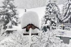 Hausruckwinter