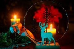 4. Advent