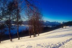 winter wonderland