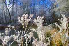 Winterzauber