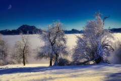 über der Nebelgrenze über der Nebelgrenze