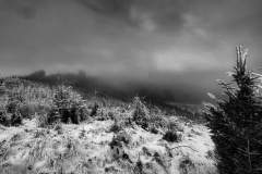 Der Winter ist zurück im Hausruck Der Winter ist zurück im Hausruck