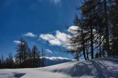 Winter adieu .... Winter adieu ....