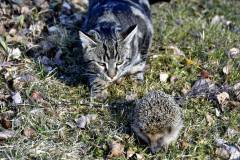 Hoffentlich nicht zu früh aus dem Winterschlaf erwacht
