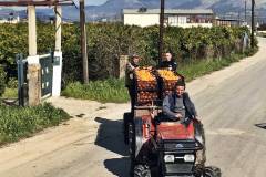 Orangenernte in Griechenland - Erster Transportweg zur Reise nach Ottnang