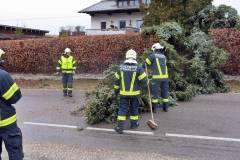 Vormittag wurde dieser Baum in der Gartenstraße durch plötzlichen Sturm geknickt