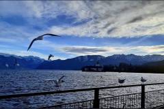 Abendstimmung am Traunsee