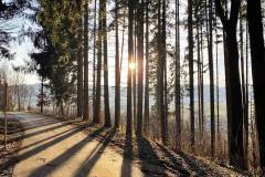 Februarsonne im Hausruck