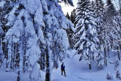 Traumhafte Winterlandschaft
