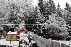 Am Pettenfirst - Hausruckwald - Der Winter ist wieder zurückgekehrt