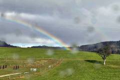 Regenbogen im Februar