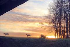 Morgenspaziergang