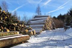 Holzlieferant Hausruckwald