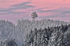 Richtfunkstation zwischen Salzburg und Linz im Hausruckwald bei Haag a. Hausruck