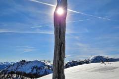 Am Toten Gebirge nähe Steirersee