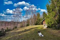 Die Alm am Weg zur Pettenfirsthütte