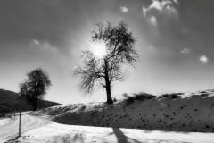 am Weg von Rackering nach Simmering