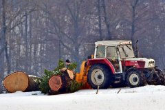 Bäuerliche Winterarbeit