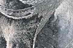 Wunderwerk der Natur