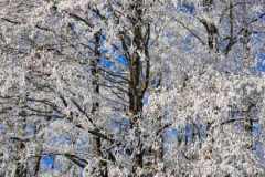 Ein sonniger Sonntag im Jänner