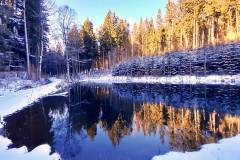 Am Simmeringer Teich in Ottnang