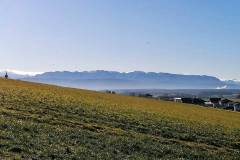 Viele Ballone über dem Höllengebirge, man muss genau hinsehen. Links Kirchturmspitze Ottnang - dahinter Traunseegebiet. Rechts die rauchenden Schlote von Lenzing - dahinter Atterseeregion.
