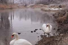 An der Ager