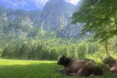 So geht chillex ;-)