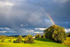 Wo das Licht den Regen küsst
