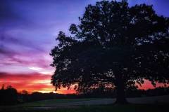 Sonnenuntergang bei Furtpoint