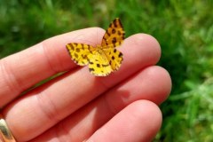 Kurze Rast in der Hand
